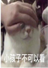 攻略高冷女上司(GL)