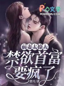 他似火 (军婚 高干 婚恋)