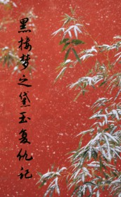 [影视同人] 黑楼梦之黛玉复仇记