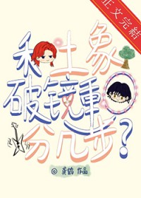 和土象破镜重圆分几步